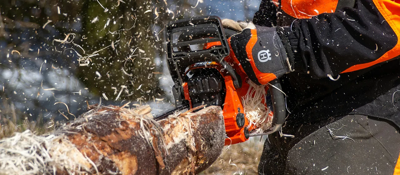 Train-The-Trainer Chainsaw Training Train-The-Trainer Chainsaw Training